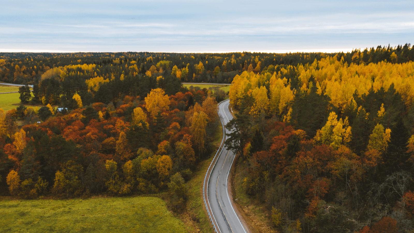第一责任人要掌握：落实企业安全生产主体责任