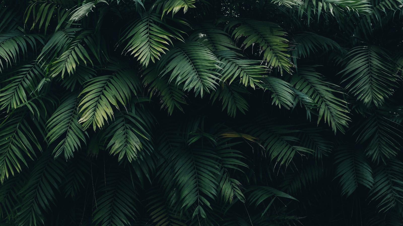 重塑成交-隐身型销售法