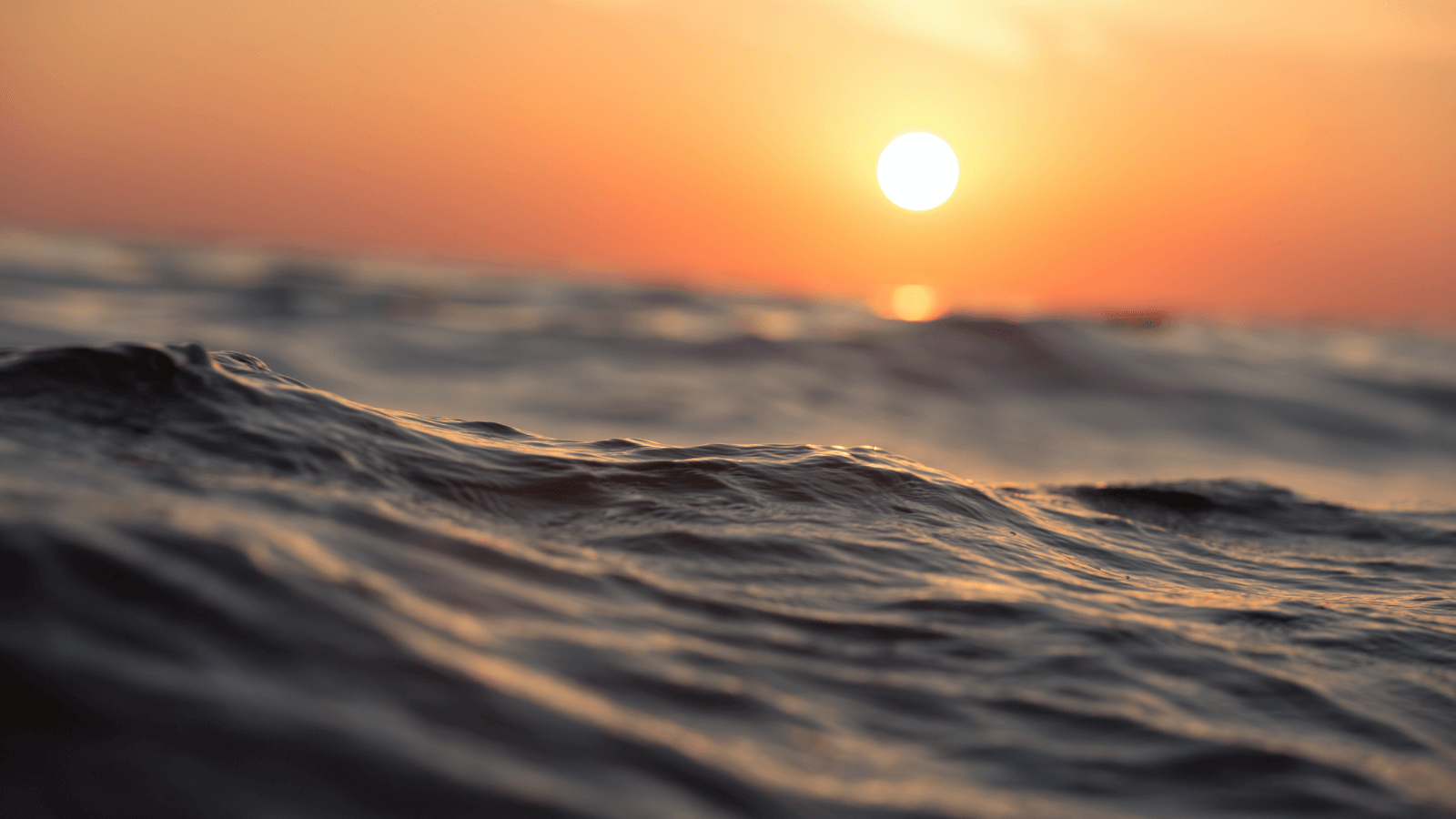 如何化解内部的负面舆论